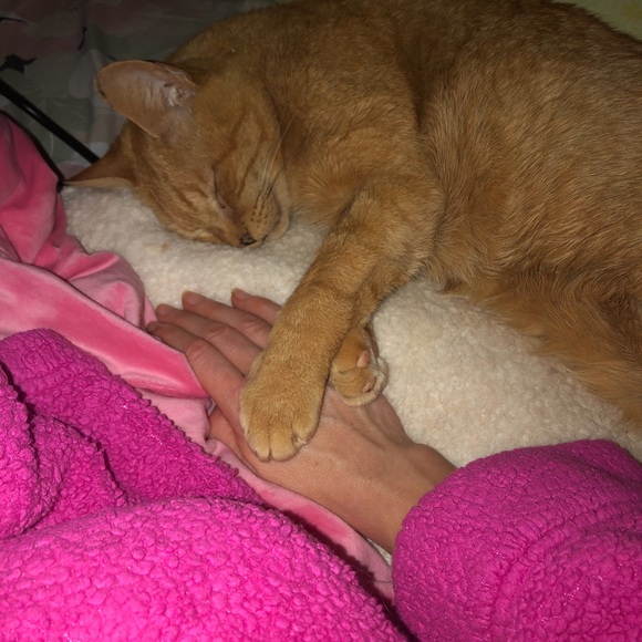 All sales go to my babyโs medical funds! New pics! - Picture 5 of 8